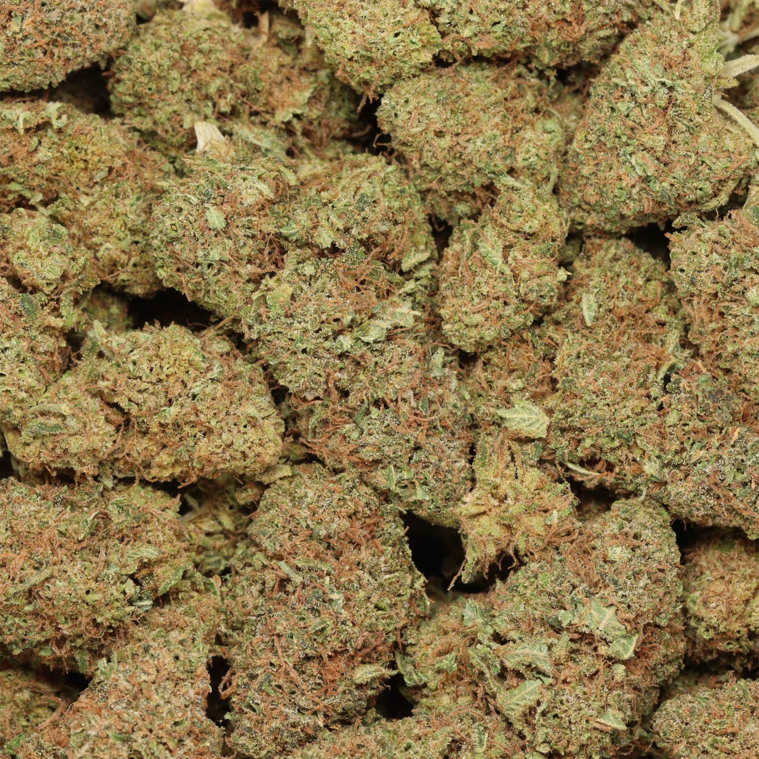 Chemdog OG