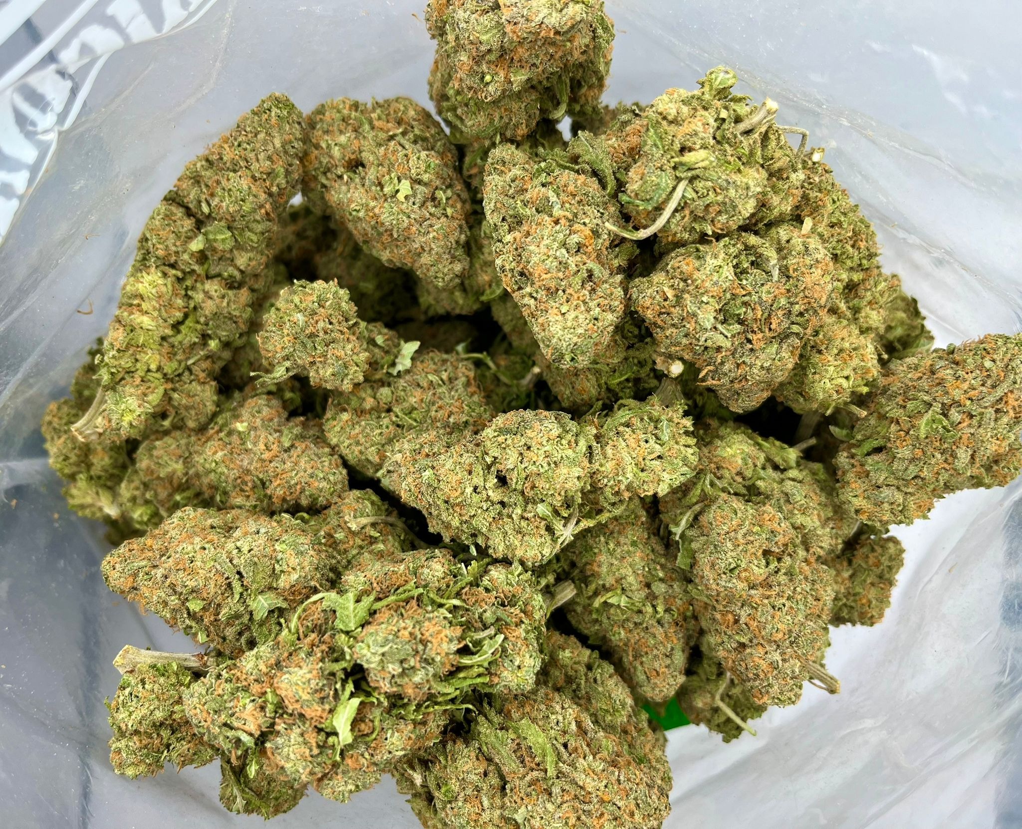 Gorilla Glue Exotic