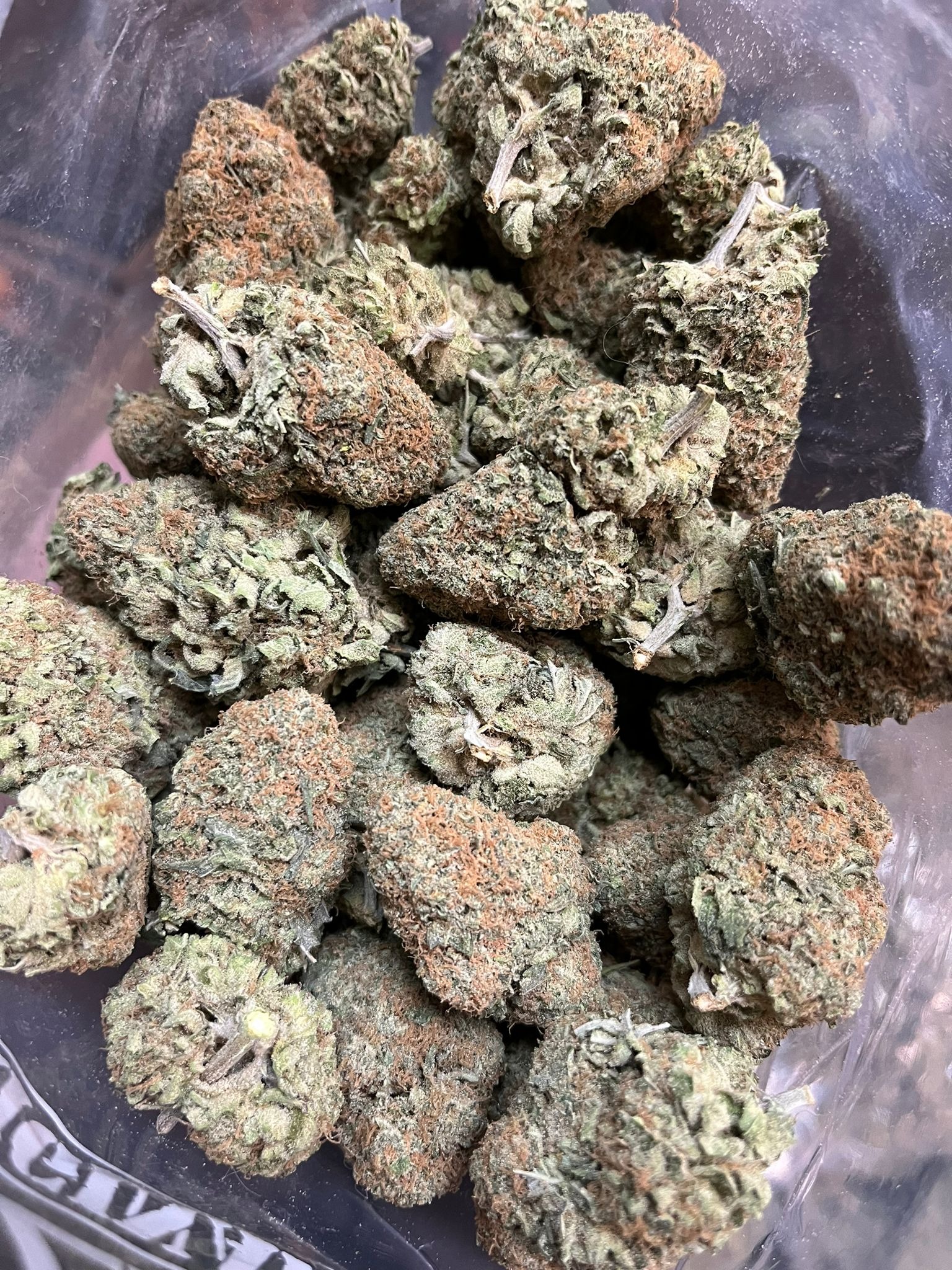 KryptoChronic