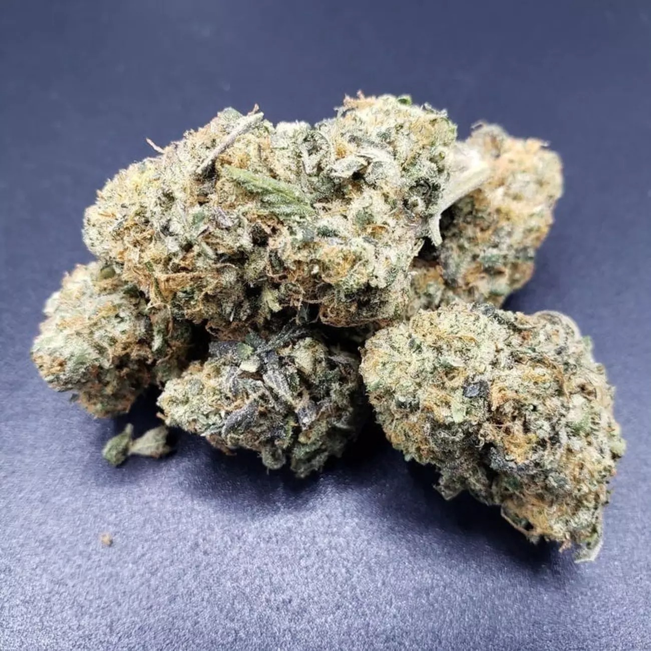 Moose Cookies