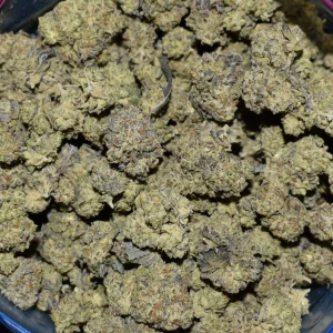 Purple-Oreoz